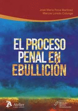 EL PROCESO PENAL EN EBULLICIÓN.