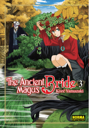 THE ANCIENT MAGUS BRDE 03