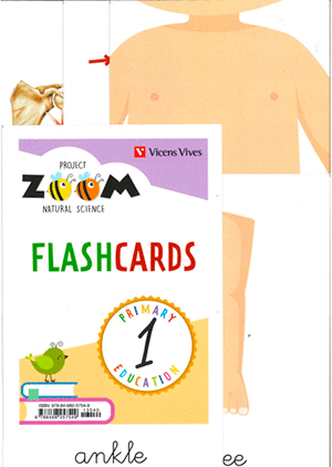 NATURAL SCIENCE 1 FLASHCARDS (ZOOM)