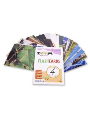 NATURAL SCIENCE 4 FLASHCARDS (ZOOM)