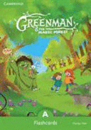 GREENMAN AND THE MAGIC FOREST A FLASHCARDS