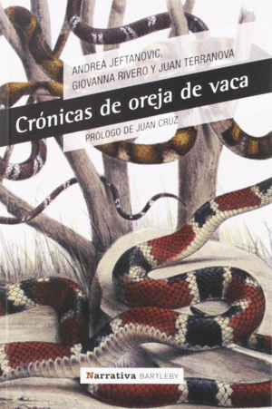CRÓNICAS DE OREJA DE VACA