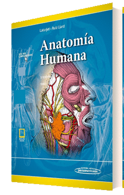 ANATOMIA HUMANA VOLUMEN I 2019